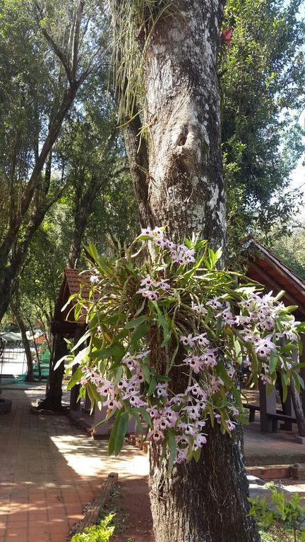 Del Sur Hotel-Museo Encarnación Extérieur photo